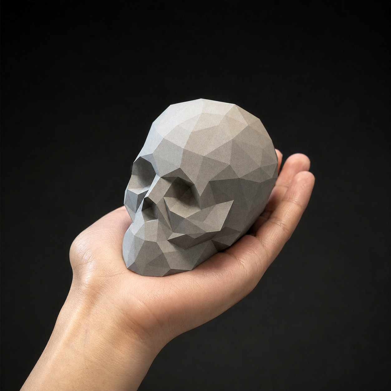 Geometric Concrete Skull Sculpture by Myron Design